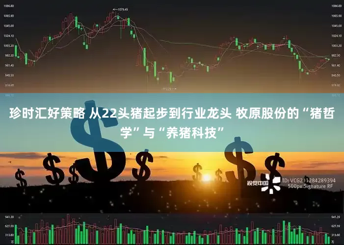 珍时汇好策略 从22头猪起步到行业龙头 牧原股份的“猪哲学”与“养猪科技”