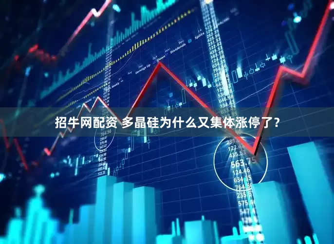 招牛网配资 多晶硅为什么又集体涨停了？