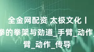 全金网配资 太极文化丨太极拳的拳架与劲道_手臂_动作_传导